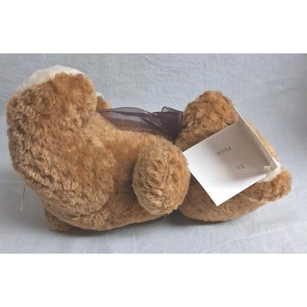 Ben Bridge Jewelers Hide Jewelry Teddy Bear Money Safe Hide In Plain Sight